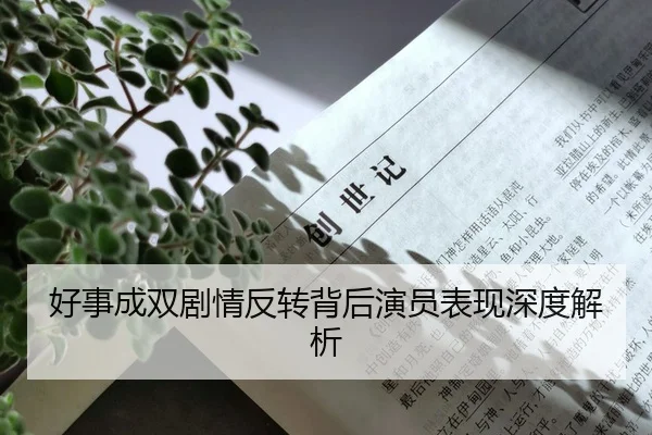 好事成双剧情反转背后演员表现深度解析